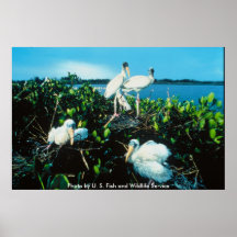 Poussins d'affiche/cigogne en bois