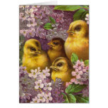 Poussins de Pâques Cartes De Vœux