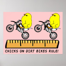 Poussins sur la copie d'affiche de motocross de rè
