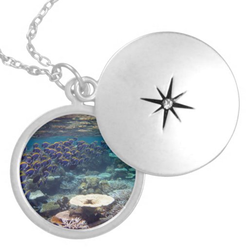 Powder Blue Surgeon Fish Pendant