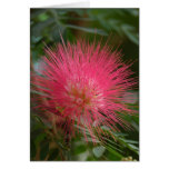Powder Puff 2 cards