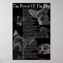 Power of the Dog Poster (large) posters