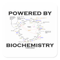 Powered By Biochemistry (Krebs Cycle / TCAC)