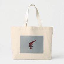 Powered hang glider canvas bags