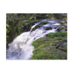 Powerful Tumbling Oregon Waterfall Postcard
