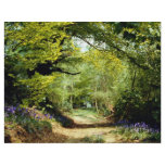 Powerhill Woodlands Battle, East Sussex, England E Flyers