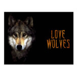 powerwolf post card
