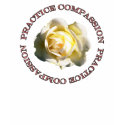 Practice Compassion Apparel t-shirts