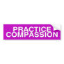 practice compassion bumper sticker