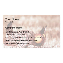 Prairie Chicken on Fergus Falls Prairie Business Card Templates