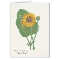 Prairie Dock Wildflower with Roots Card