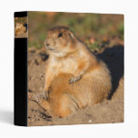 prairie dog binder