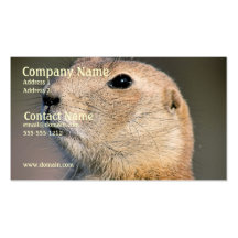 Prairie Dog Business Card