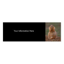 prairie dog business cards