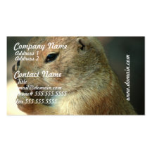 Prairie Dog Business Cards