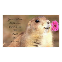 Prairie dog business cards