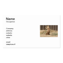 Prairie Dog Eating Grass Business Cards