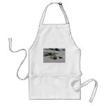 Prairie Dog Peeking Out Of Burrow Aprons