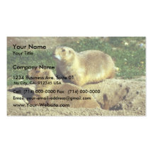 Prairie Dogs Business Card Templates