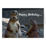 Prairie Dogs Cute Happy Birthday From Whole Gang Cards