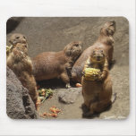 Prairie Dogs Eating Dinner 1 Mouse Pad