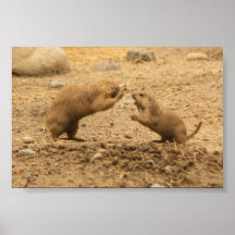 Prairie Dogs Give Me Some Skin Posters