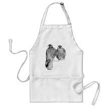 Prairie Falcons Apron