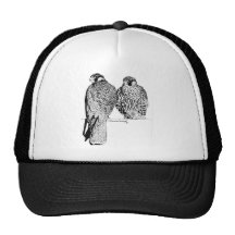 Prairie Falcons Mesh Hats
