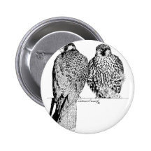 Prairie Falcons Pinback Buttons