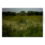 Prairie Flowers Card