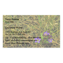 Prairie gentian business cards