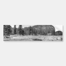 Prairie In South Lake Tahoe Bumper Stickers