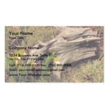 Prairie lady's slipper business card templates