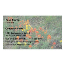 Prairie Paintbrush Business Card Template