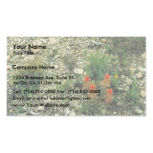 Prairie Paintbrush Business Card Templates