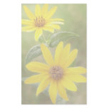 Prairie Sunflower - Helianthus maximilianii stationery