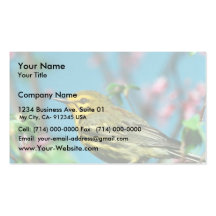 Prairie Warbler Business Cards