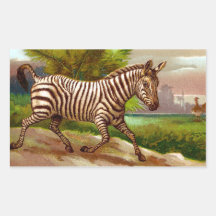 Prancing Zebra Rectangular Sticker