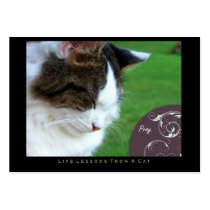 Pray Life Lessons From a Cat ACEO Art Cards Business Card Template