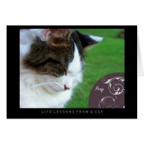 Pray Life Lessons From a Cat Card