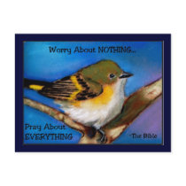 PRAY: NO WORRY: BIBLE: BIRD POST CARD