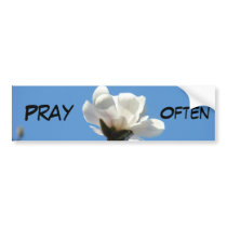 Pray Often bumper stickers Blue Sky Magnolia