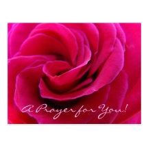 Prayer for You! postcards Pink Rose Spiral cards