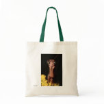 Praying Mantis Bag