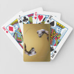 Praying mantis ~ Playing Cards