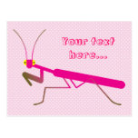 Praying mantis postcard