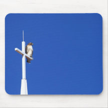 Praying Mousepads