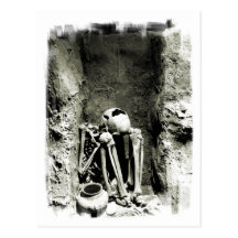 Pre-Columbian Gravesite Skeleton Postcards