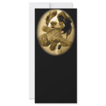 Precious And Her Fave Toy:  Sepia
