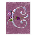 Precious Butterfly Initial C Post Cards